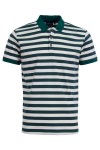 Polo Shirt с плетена яка и маншети РАЙЕ ЗЕЛЕНО И ЕКРЮ 