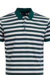 Polo Shirt с плетена яка и маншети РАЙЕ ЗЕЛЕНО И ЕКРЮ 